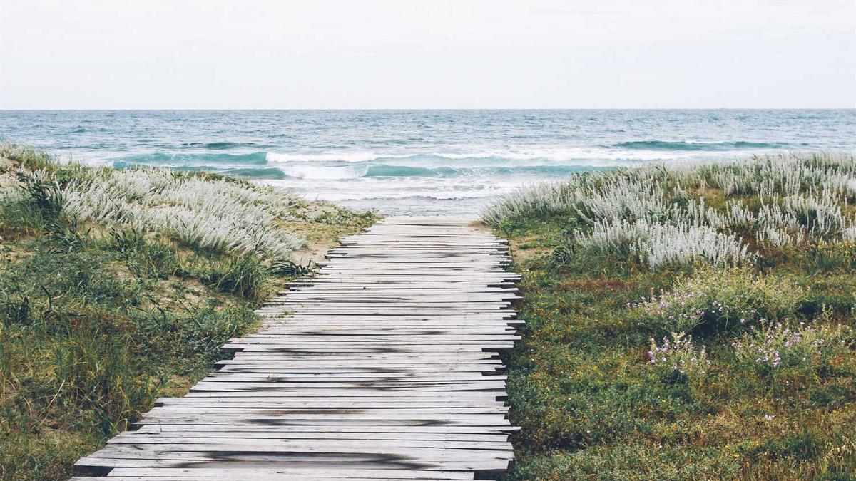 广东韶关十大特产