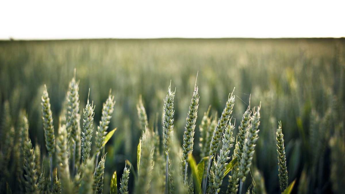 安徽不坑人的景点