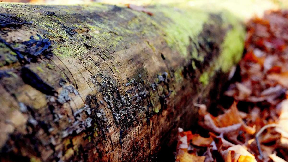 杭州四季青服装批发市场拿货攻略