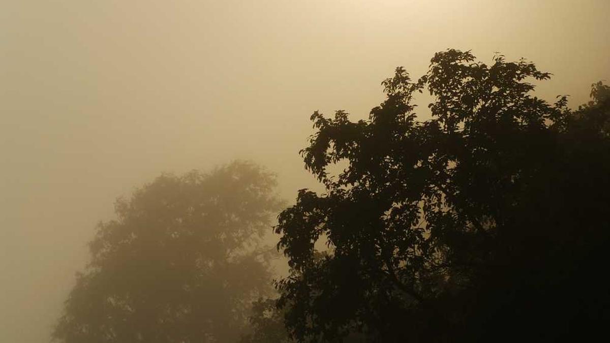 Y.六安未来几天的天气预报