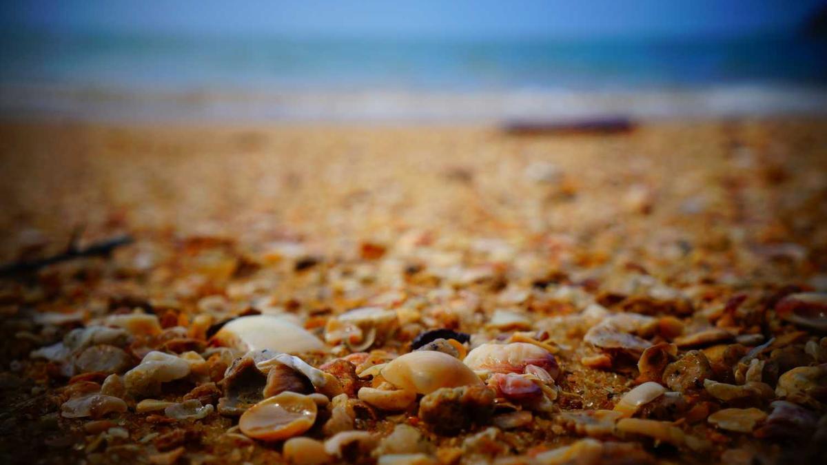 衡水老白干古法20口感怎么样?好不好喝