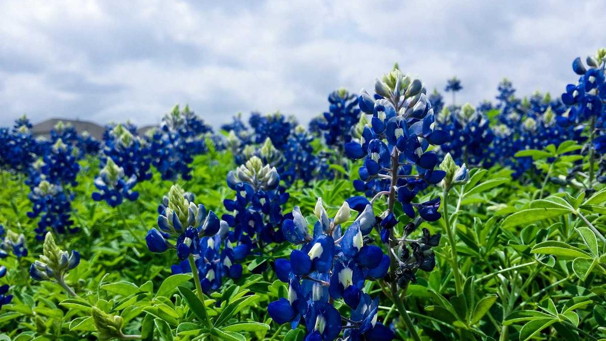 烟台大学时一本吗