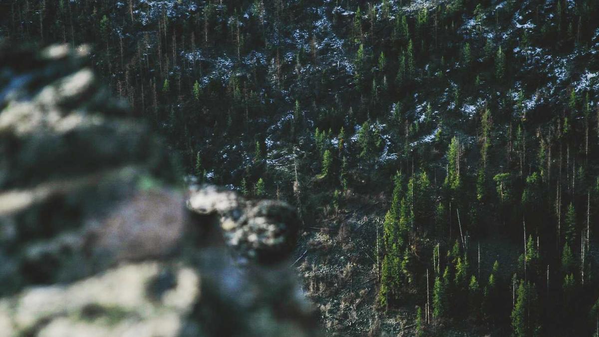 约为什么到家里要定金