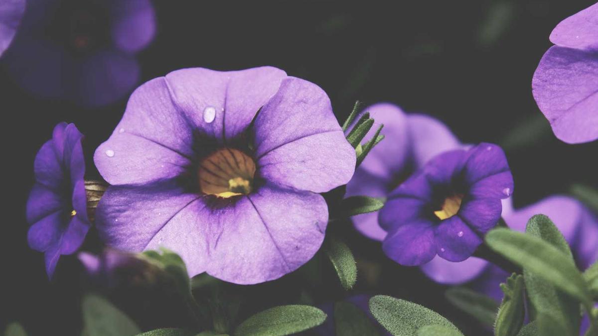 稳中提质!工业经济“压舱石”作用持续发挥