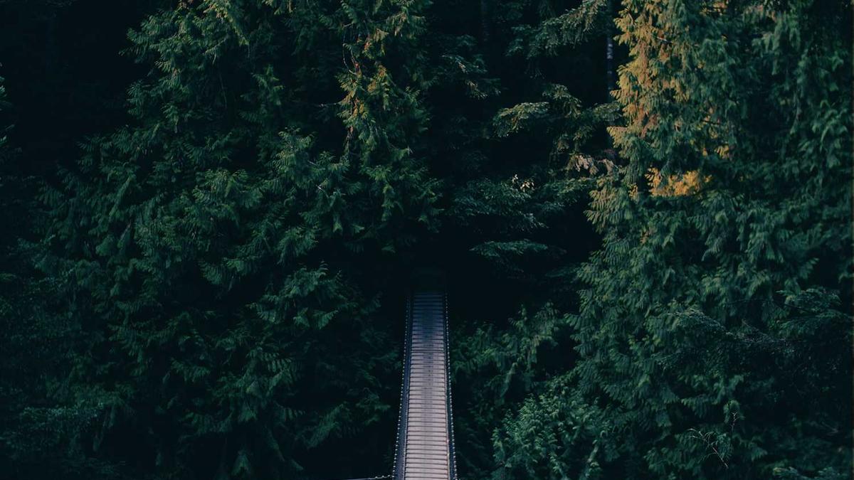 ...所以想知道丽江未来十天的天气预报将会是怎样的?如题谢谢了_百度知...