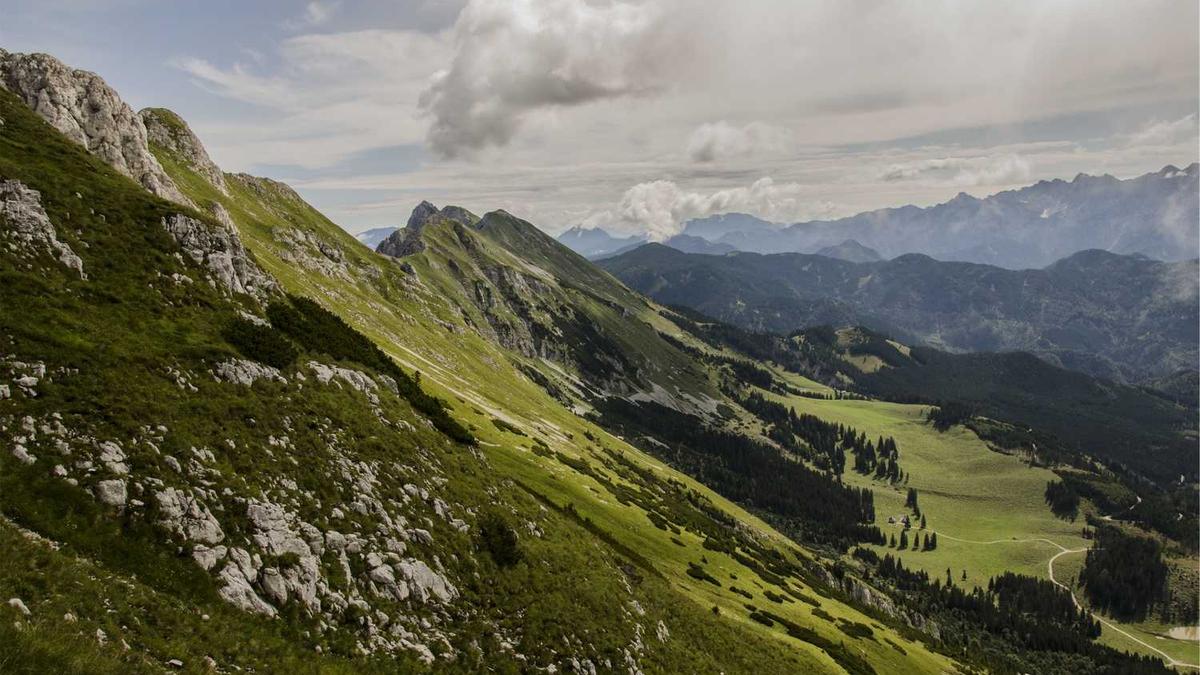 陈维与陈思思谁厉害